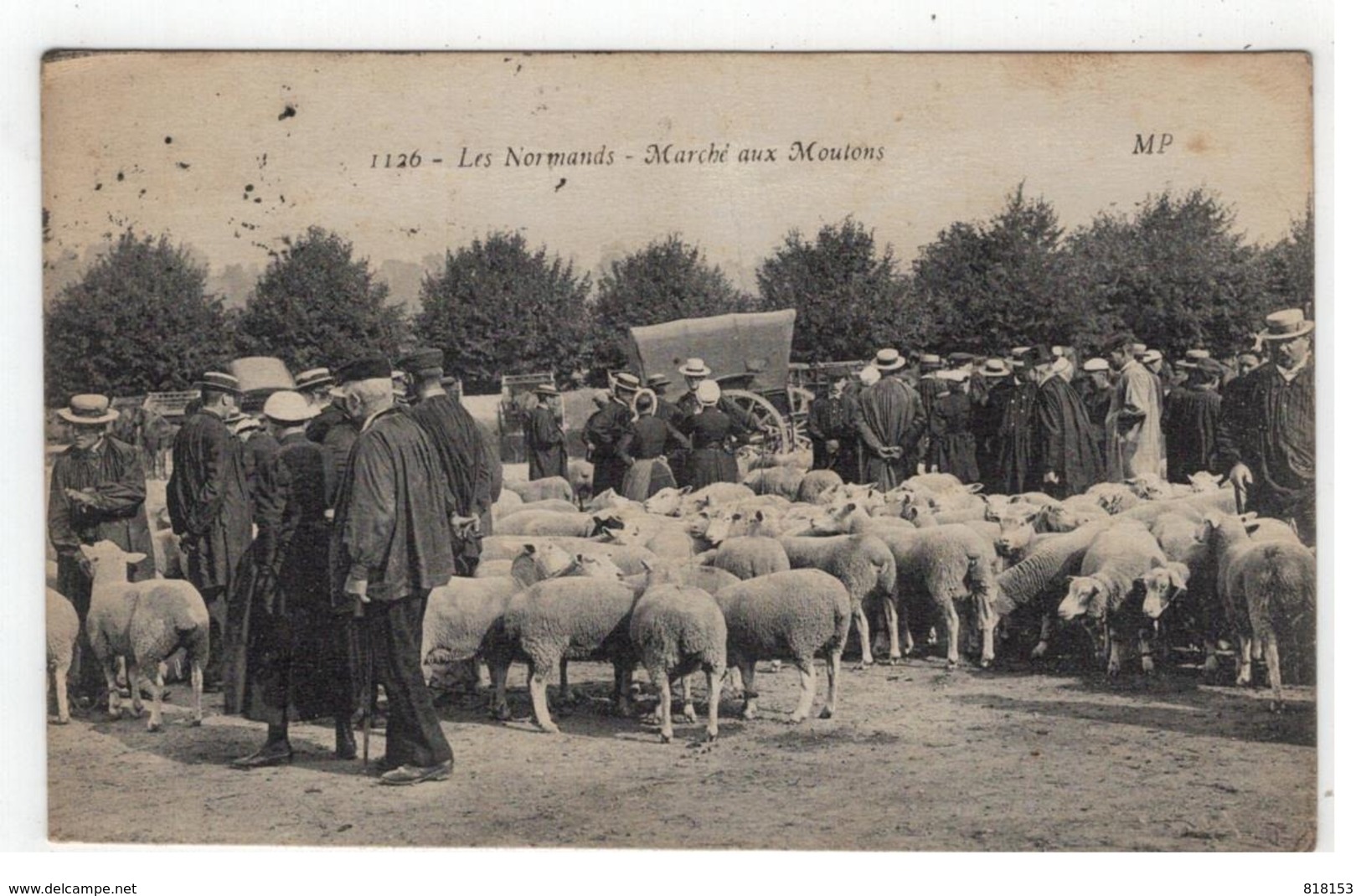 Marché Aux Moutons MP  1126 - Les Normandies - Marchés