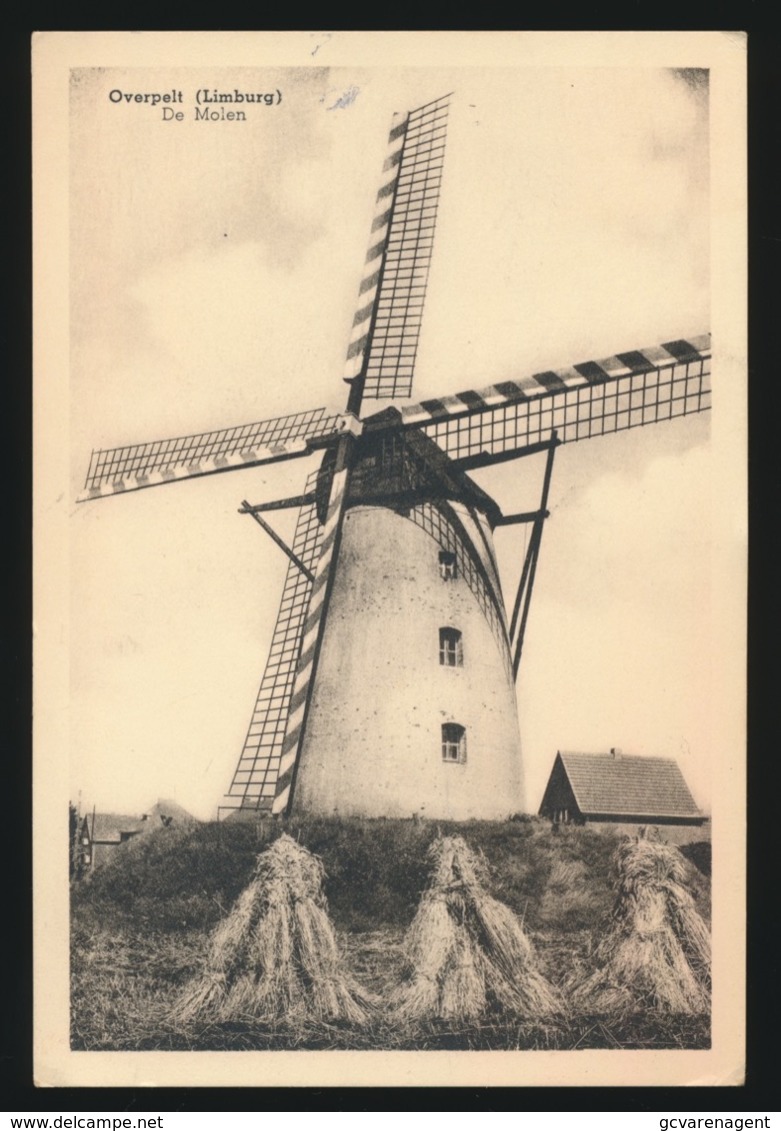 OVERPELT  LIMBURG  DE MOLEN   - 2 AFBEELDINGEN - Overpelt