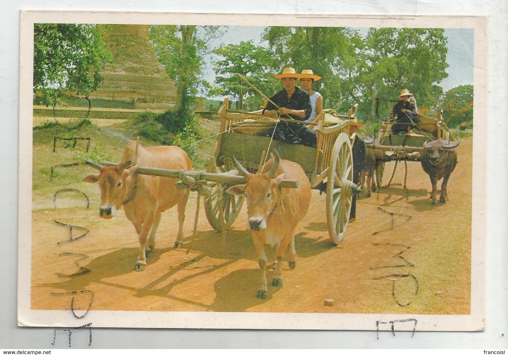 Chariots à Vaches Et à Buffles. - Thaïlande