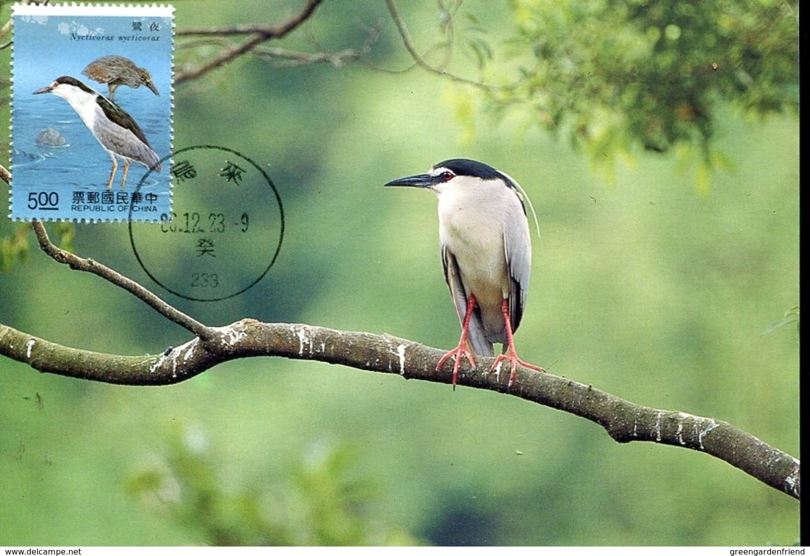 49110 China (taiwan) Maximum  1991,  Bird, Nycticorax - Cartes-maximum