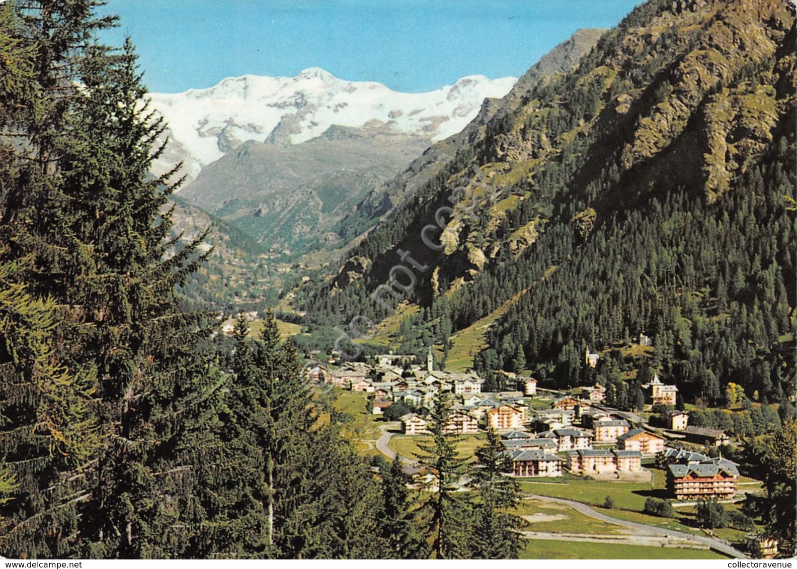 Cartolina Gressoney St. Jean Panorama 1987 Segni (Aosta) - Other & Unclassified