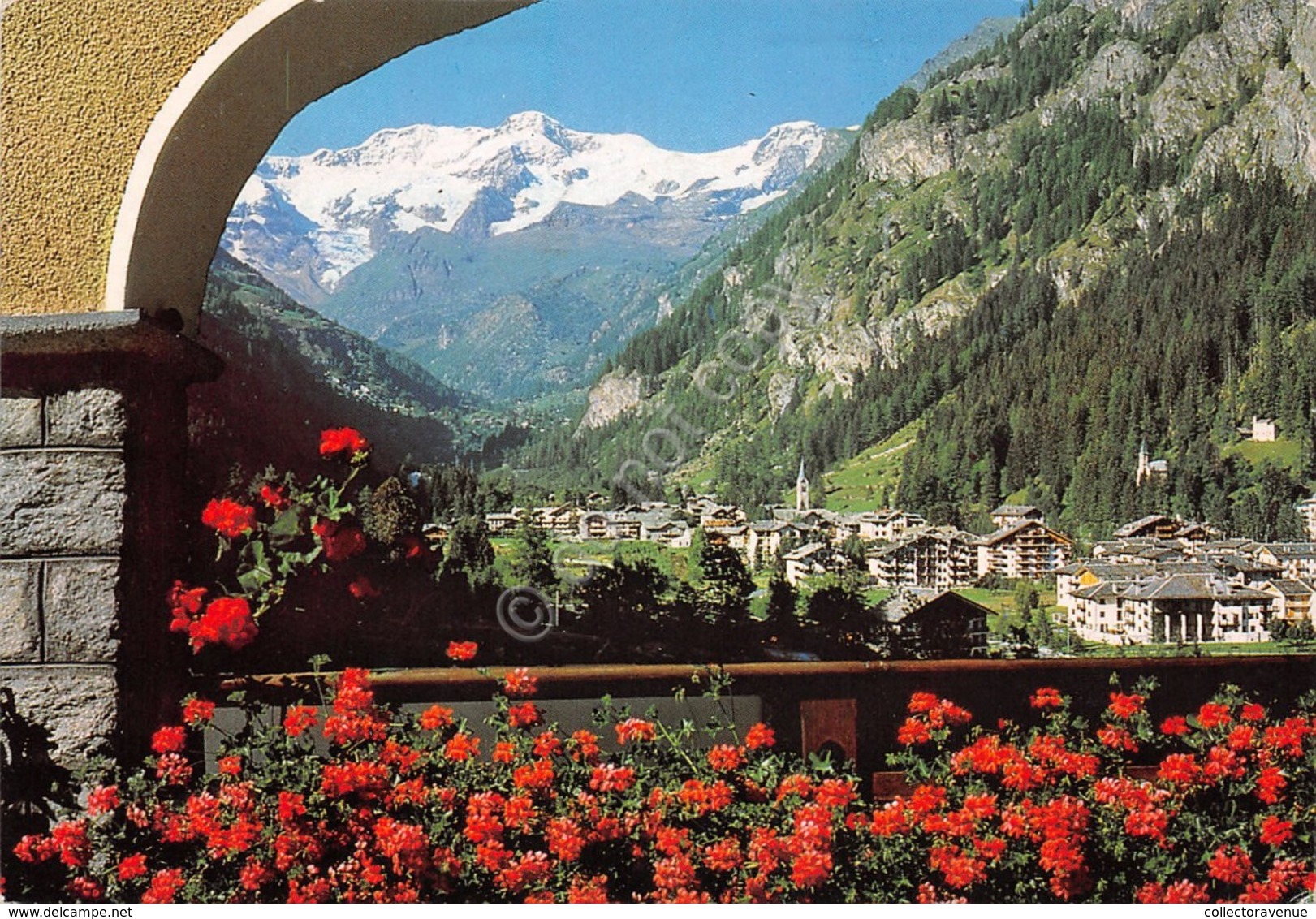Cartolina Gressoney St. Jean Panorama 1989 (Aosta) - Other & Unclassified