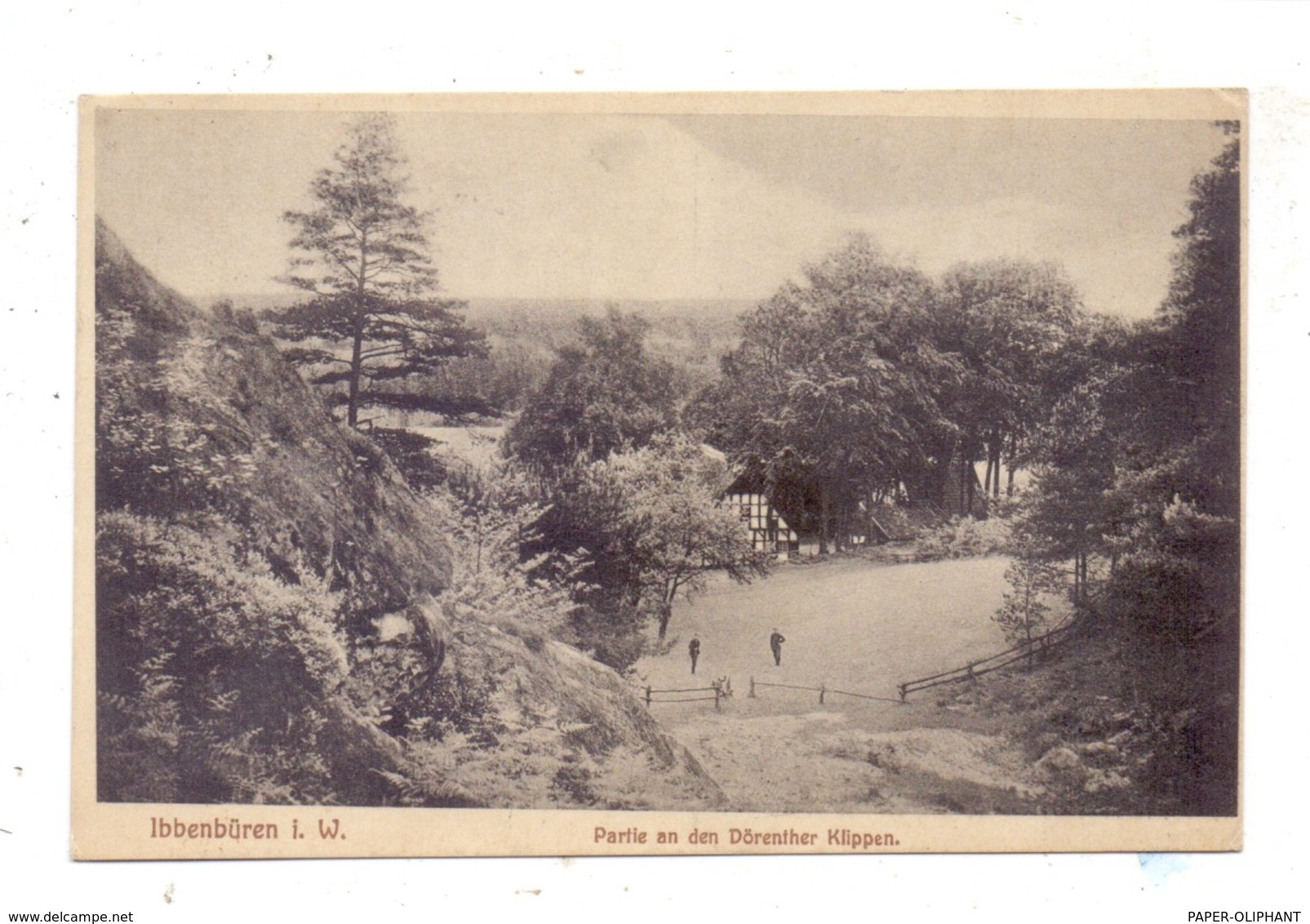 4530 IBBENBÜREN, Partie An Den Dörenther Klippen, 1918, Feldpost - Bahnpost Gütersloh - Ibbenbüren - Ibbenbueren