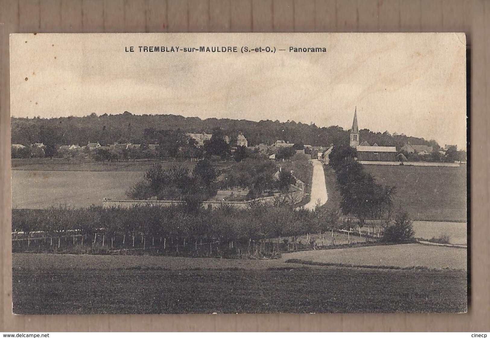 CPA 78 - LE TREMBLAY-sur-MAULDRE - Panorama - TB PLAN D'ensemble Du Village + Route Perspective De L'intérieur - Autres & Non Classés