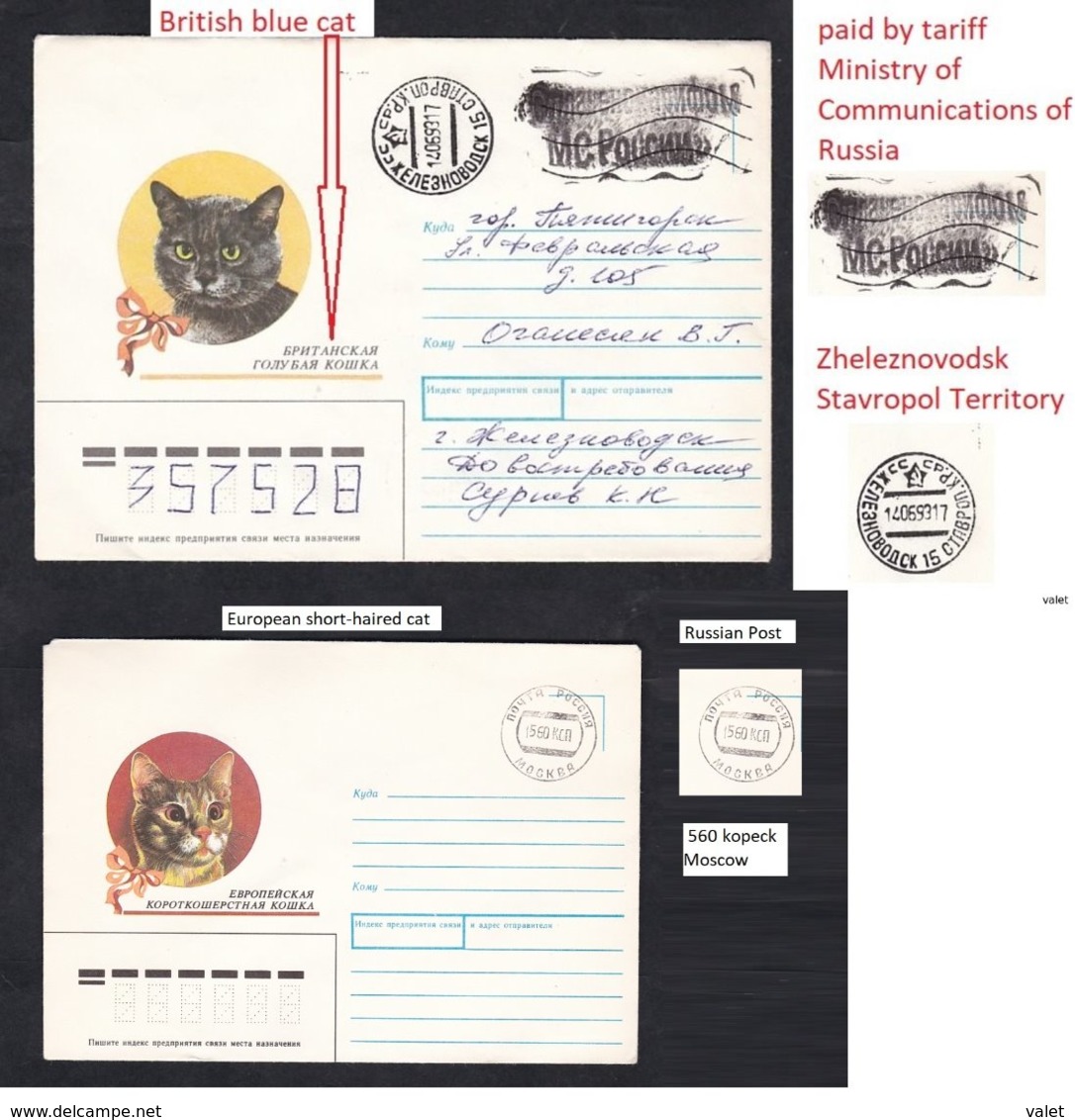 RUSSIA . Cat.3 Envelopes . - Domestic Cats