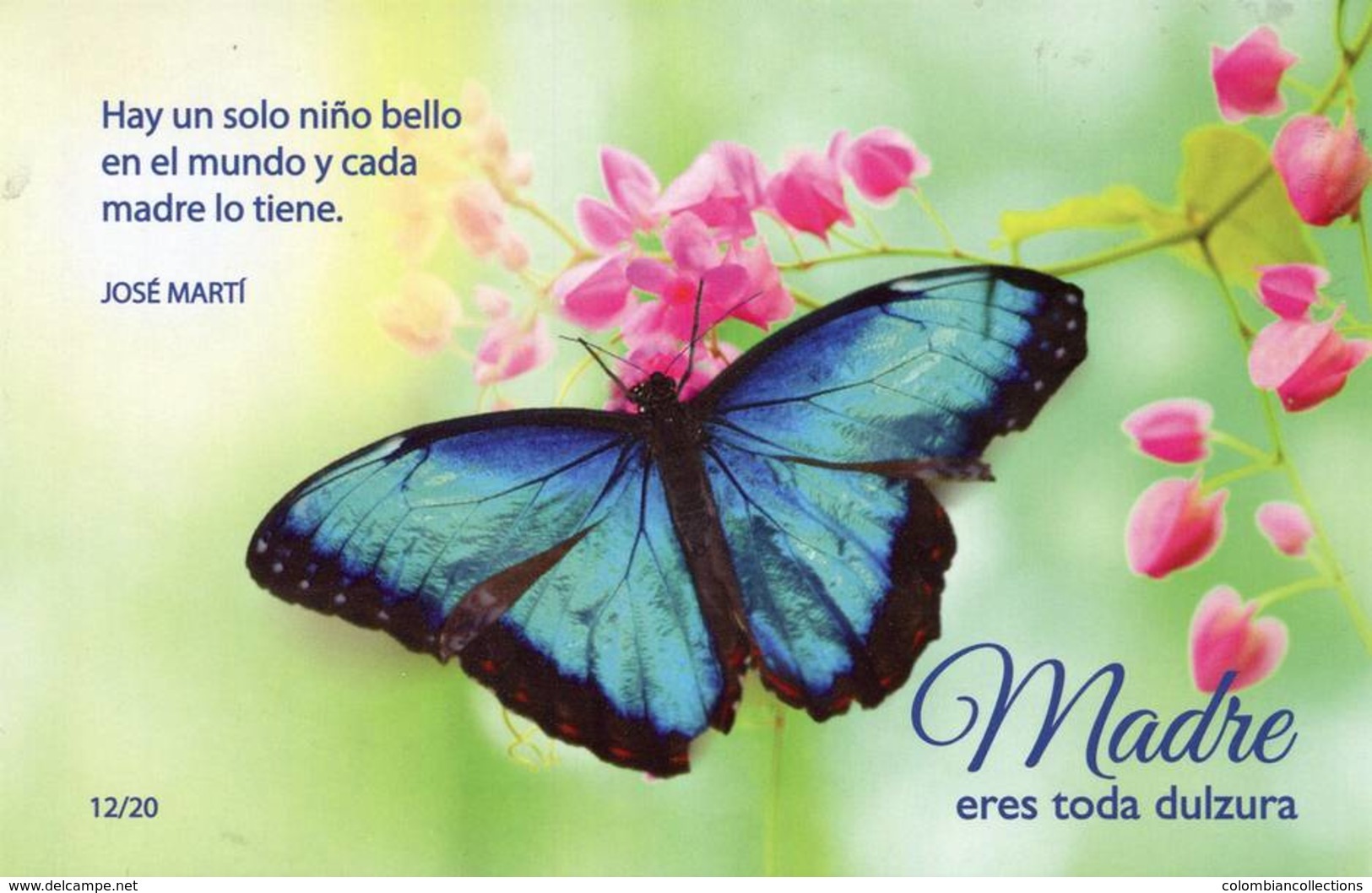 Lote PEP1250, Cuba, Entero Postal, Postal Stationery, Dia De Las Madres, Flor, Mariposa, 12-20, Butterfly, Orchid - Maximum Cards