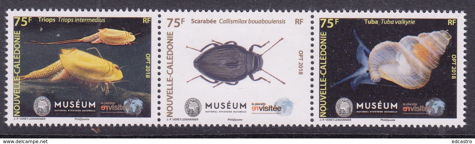 1.- NEW CALEDONIA 2018 Triops Intermedius - Callismilax Bouaboulensis -Tuba Valkyrie - Crustáceos