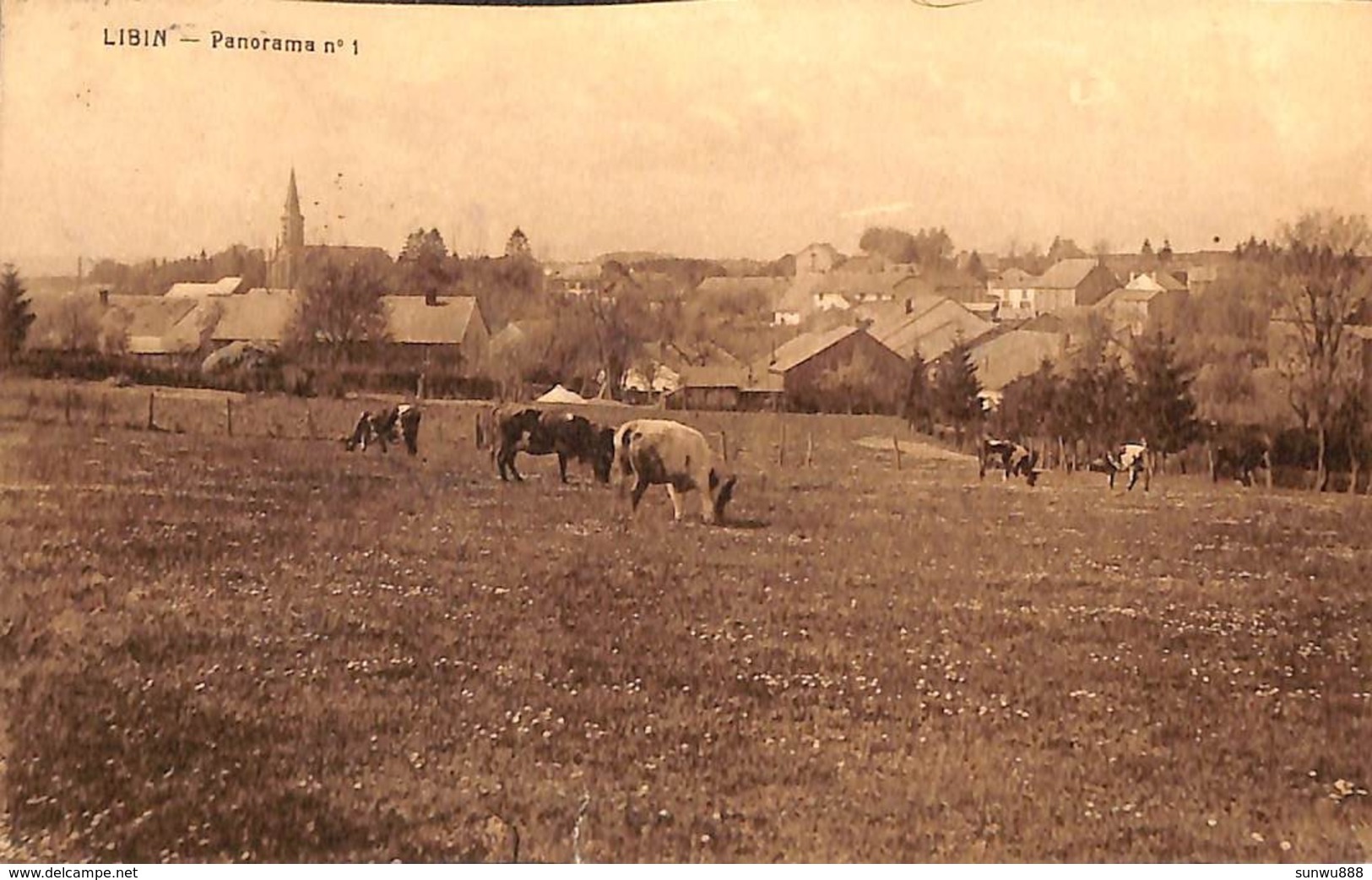 Libin - Panorama N° 1  (animée Photo Duchêne) - Libin