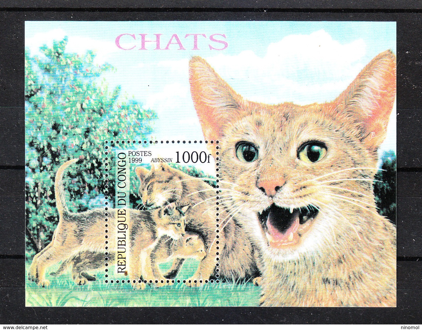 Congo    -   1999. Gatta Con Gattini. Cat With Kittens. Bl. MNH - Domestic Cats