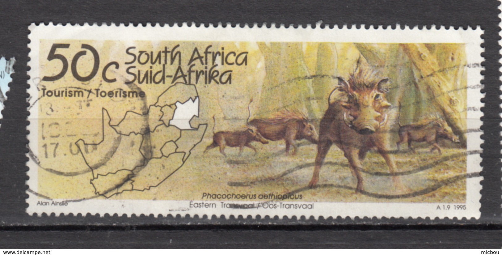 RSA, Afrique Du Sud, South Africa, Phacochère, Warthog, Sanglier, Boar, Cochon, Pig, Géographie, Geography - Game