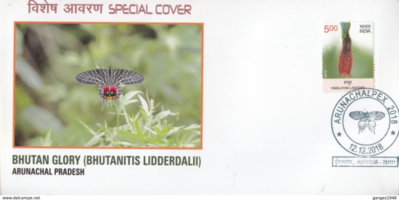 India  2018  Butterflies  Bhutan Glory  Bhutanitis Lidderdalii  Itanagar  Special Cover  # 24017   D Inde  Indien - Butterflies