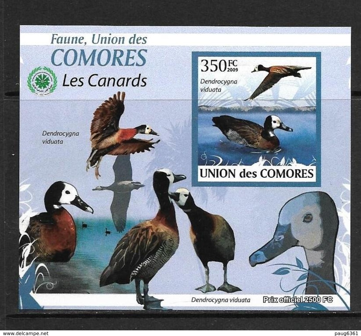 COMORES 2009 CANARDS Y N°1708 NON DENTELE NEUF MNH** - Canards