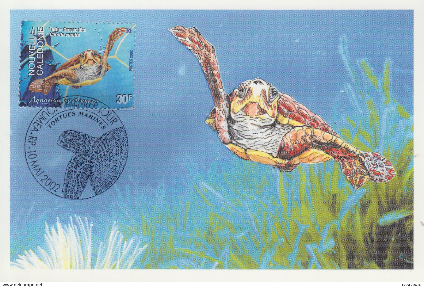 Carte  Maximum  1er  Jour    NOUVELLE  CALEDONIE    Aquarium  De  NOUMEA     TORTUE   à  GROSSE  TETE   2002 - Turtles