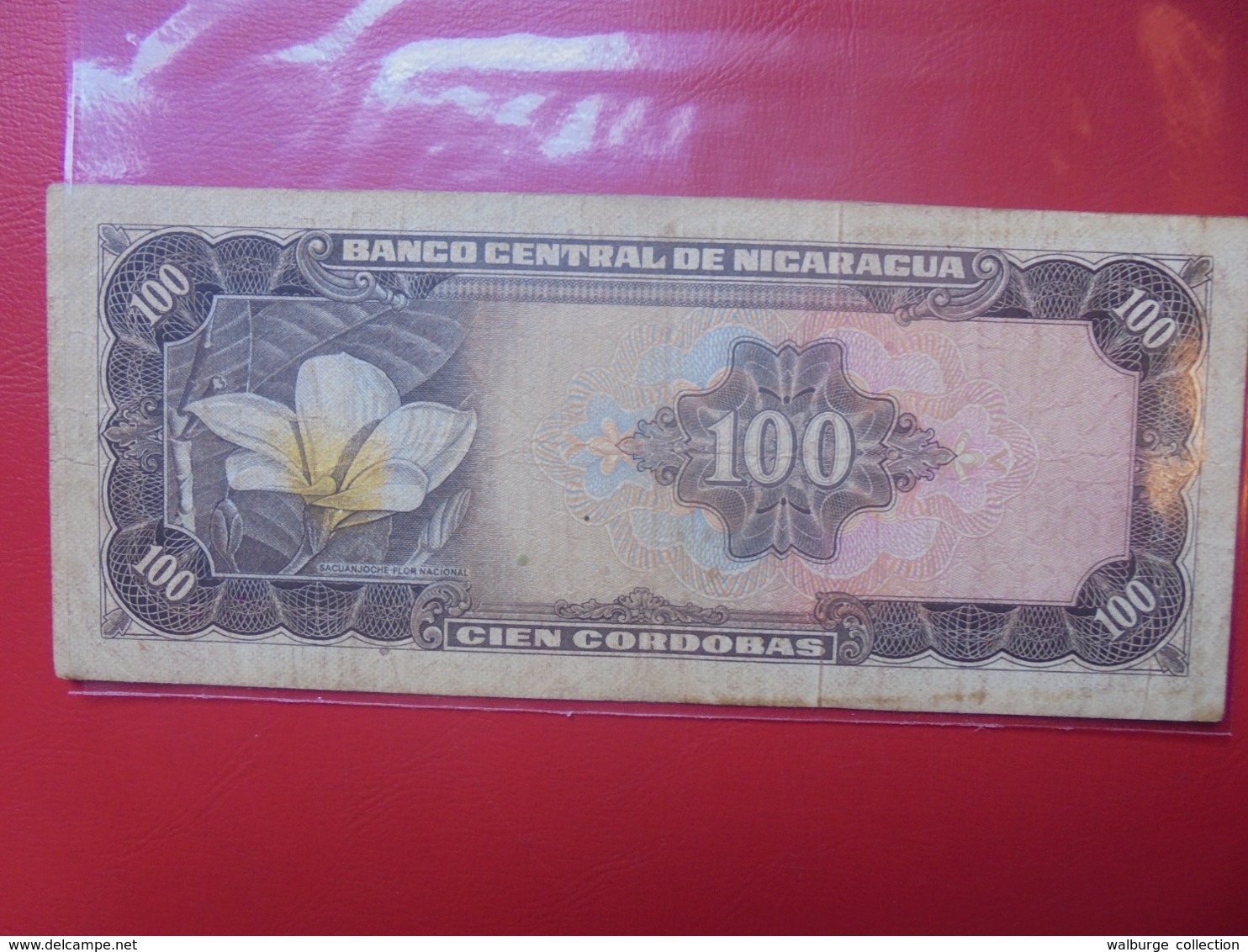 NICARAGUA 100 CORDOBAS 1979 CIRCULER (B.9) - Nicaragua
