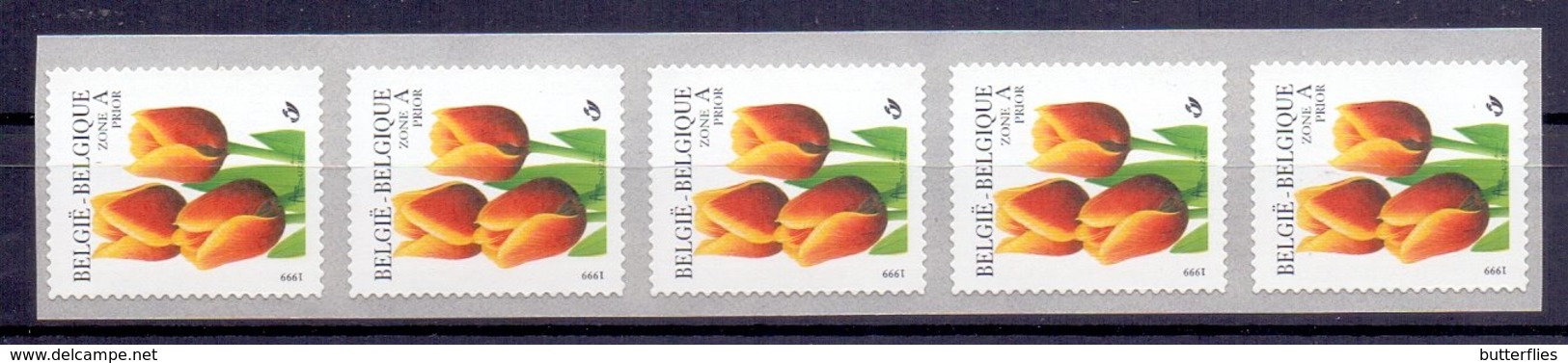 Belgie - 1999 - OBP - ** 2855 -  Rolzegel 93 - Strook Van 5 - Tulp -  Bloemen -  Andre Buzin - 1985-.. Birds (Buzin)