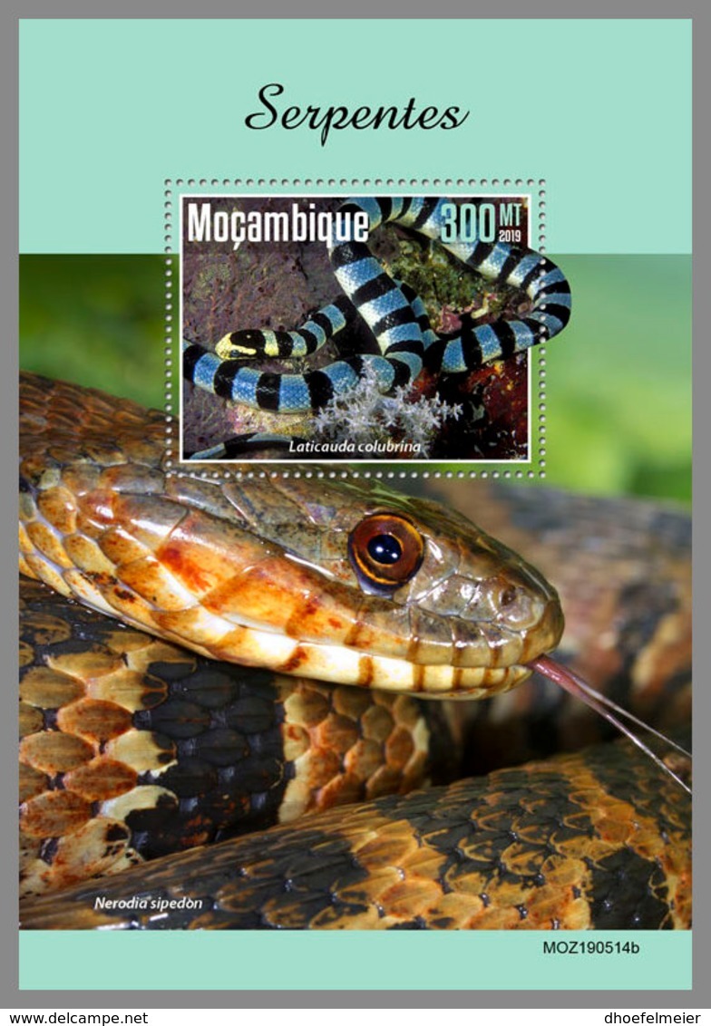 MOZAMBIQUE 2019 MNH Snakes Schlangen Serpents S/S - OFFICIAL ISSUE - DH1944 - Serpents