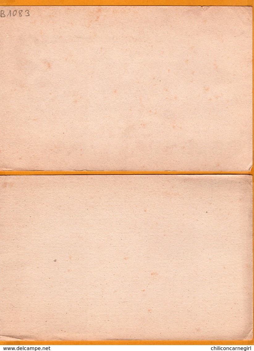 2 BUVARD - BLOTTING PAPER - Chocolat DELESPAUL HAVEZ - Collectionnez Nos Photos De Voyage - MARCQ EN BAROEUL - Chocolat