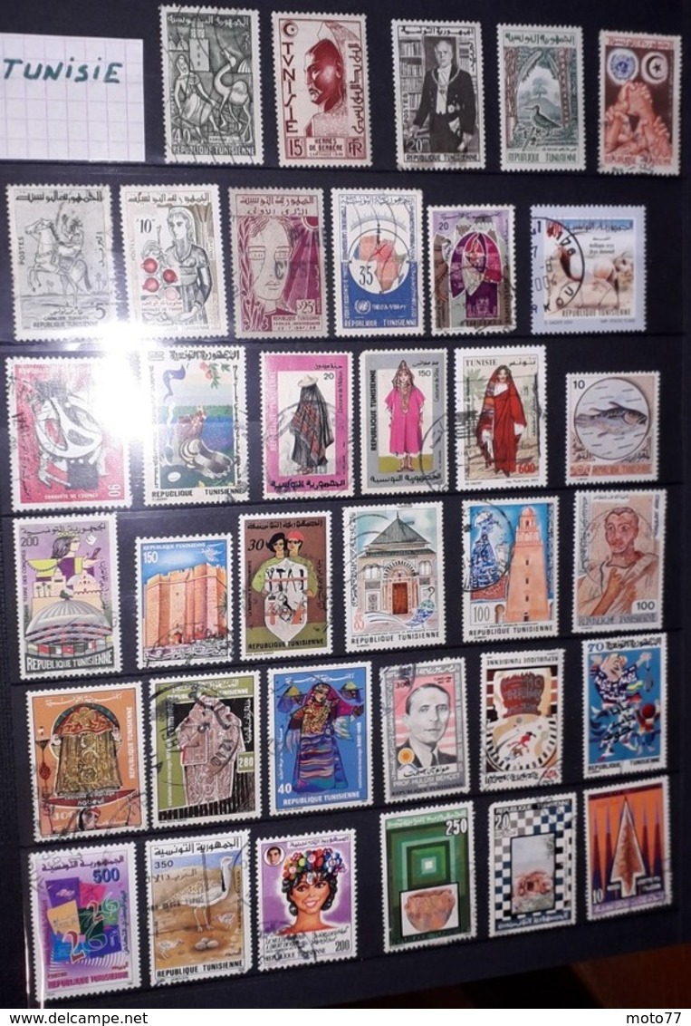 TUNISIE - 113 TIMBRES - Lot 160 - Voir Mes Autres Ventes De 150 Pays - Collections (sans Albums)