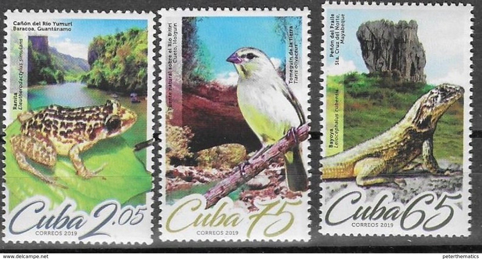 FAUNA, 2019, MNH, BIRDS, FROGS, LIZARDS,3v - Other & Unclassified