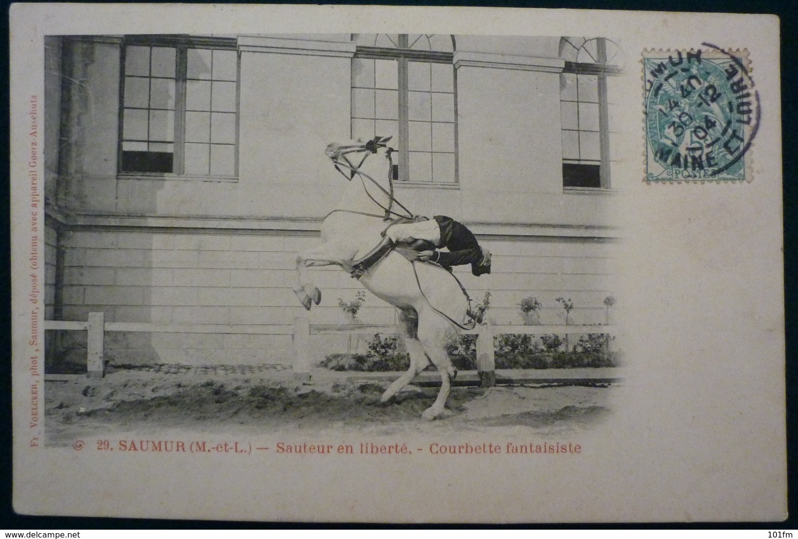 FRANCE - SAUMUR - SAUTEUR EN LIBERTE - Horse Show