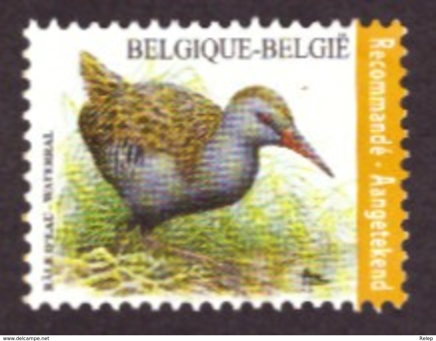 Belgique   2017 - Birds - Rallus Aquaticus  NEUF - Côte € 8.00 Registrered Letter Stamp - Neufs