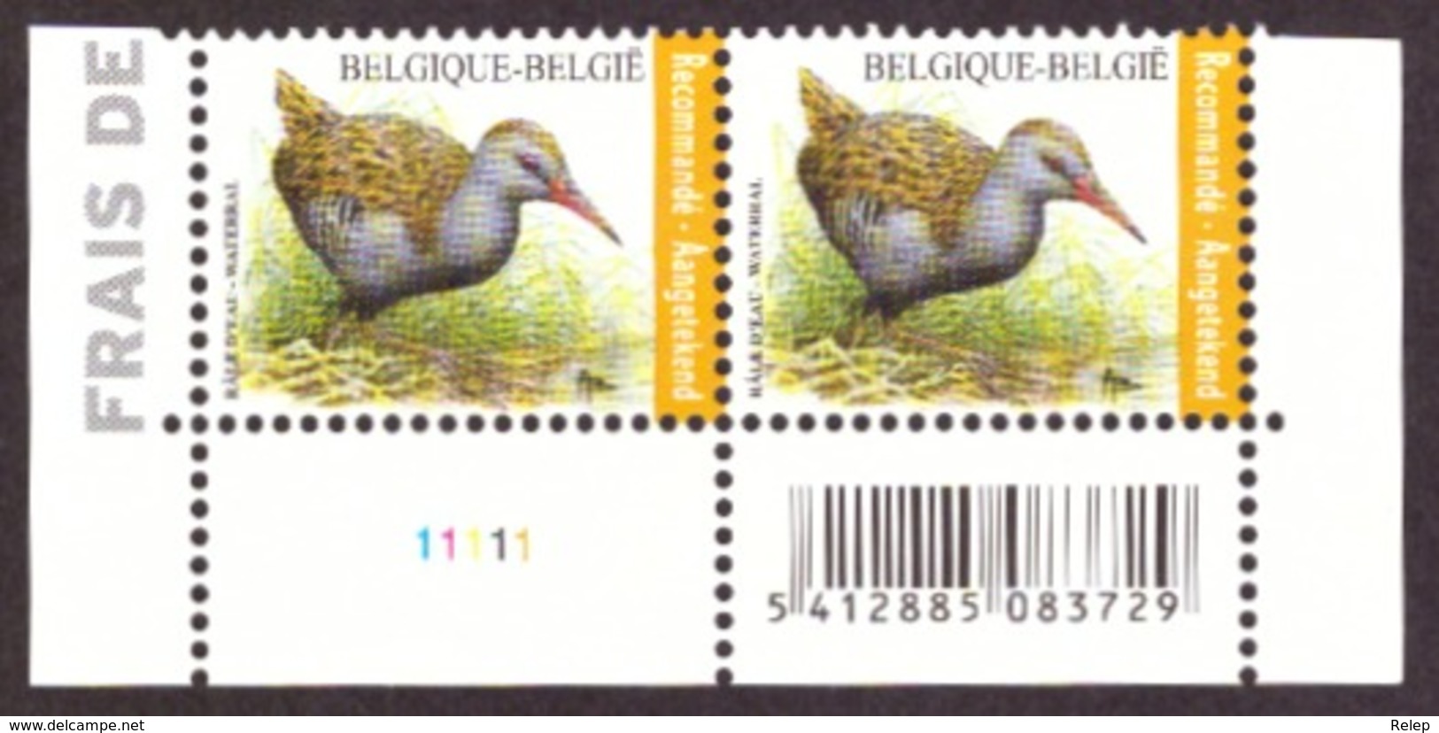 Belgique   2017 - Birds - Rallus Aquaticus  NEUF - A Saisir!! - Unused Stamps