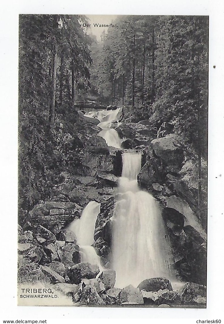 CPA - Allemagne - Triberg - Schwartzwald - Der Wasserfall - Triberg