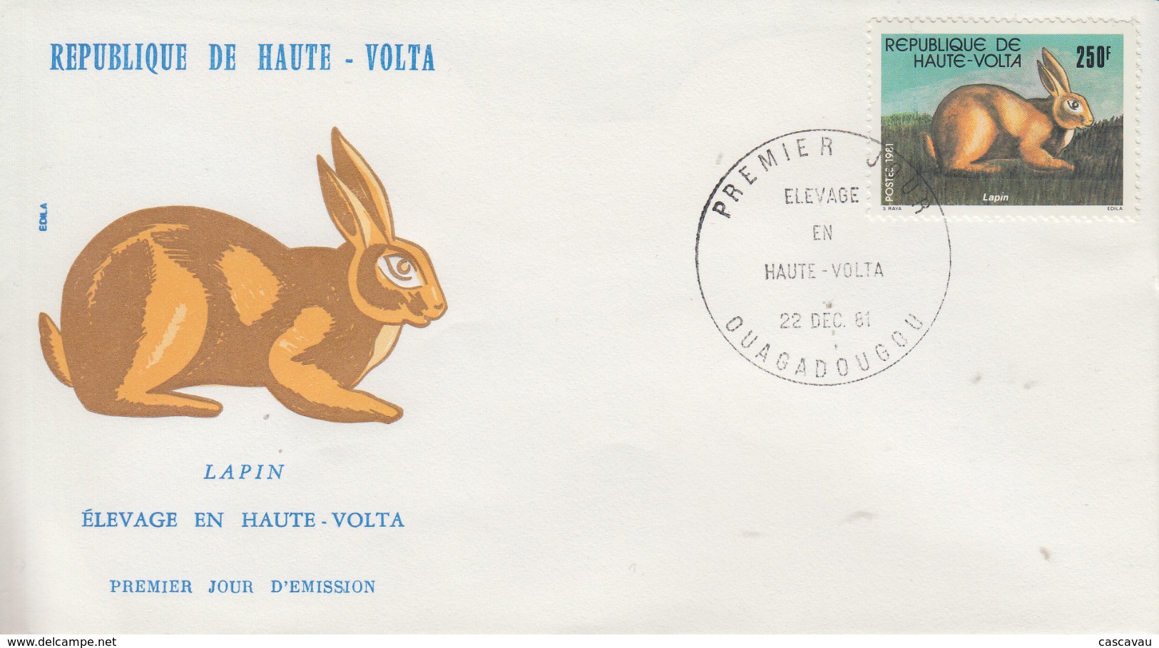 Enveloppe  FDC   1er  Jour    HAUTE  VOLTA     Lapin   1981 - Rabbits