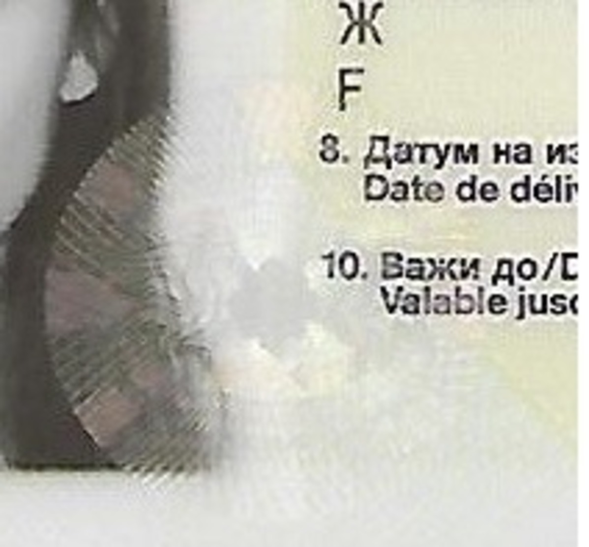 Passeport,passport, Pasaporte, Reisepass,Republic Of Macedonia,canceled.girl Visa All Europa - Documents Historiques
