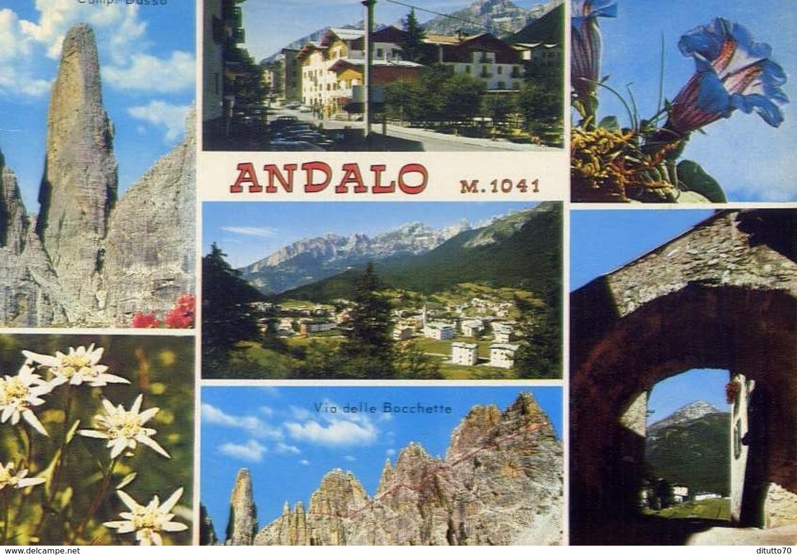 Andolo - Formato Grande Viaggiata – E 14 - Sondrio