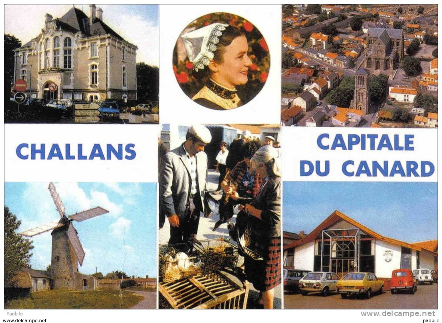 Carte Postale 85. Challans  Capitale Du Canard Renault 4L Très Beau Plan - Challans