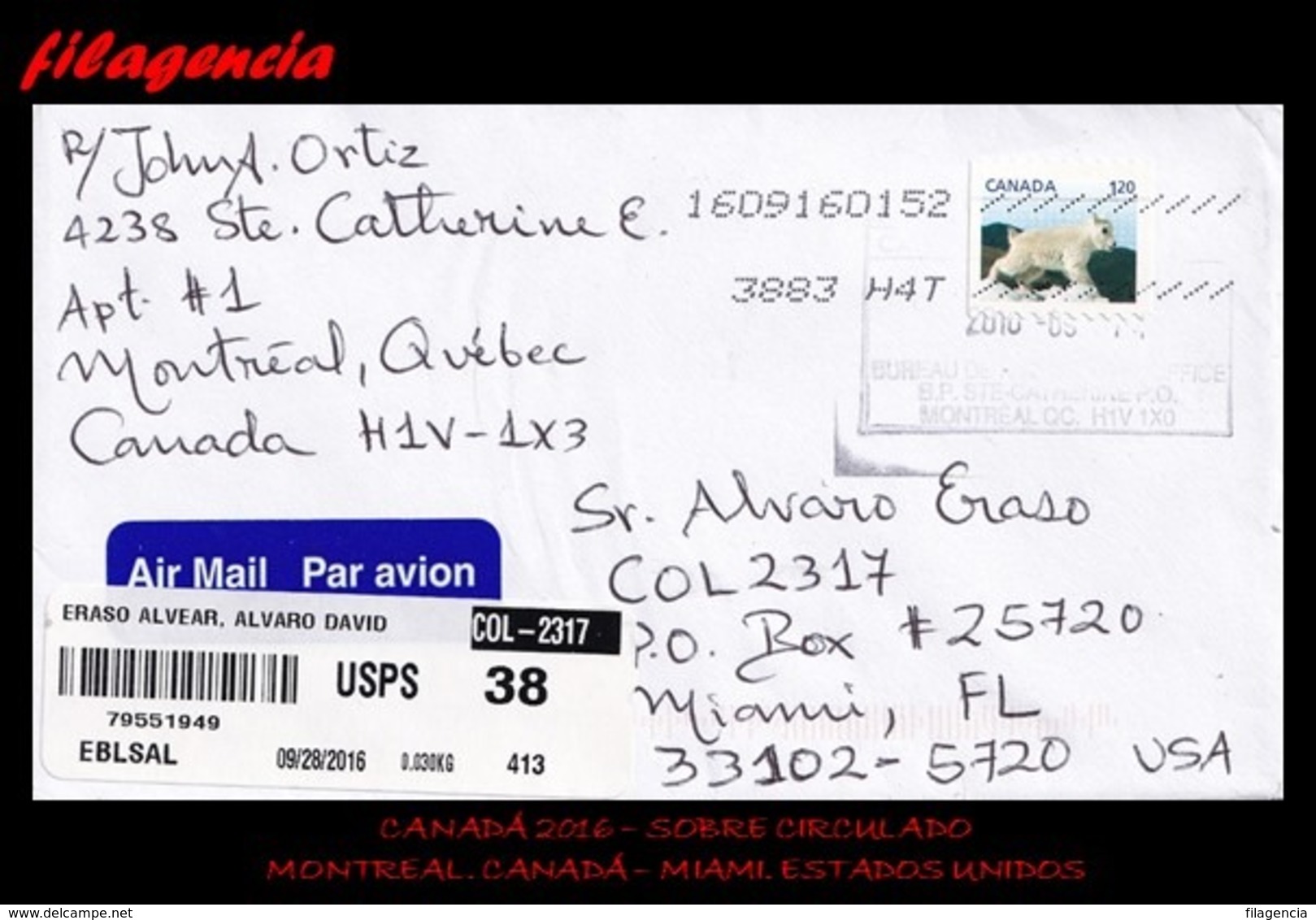 AMERICA. CANADÁ. ENTEROS POSTALES. SOBRE CIRCULADO 2016. MONTREAL. CANADÁ-MIAMI. ESTADOS UNIDOS. FAUNA - Cartas & Documentos