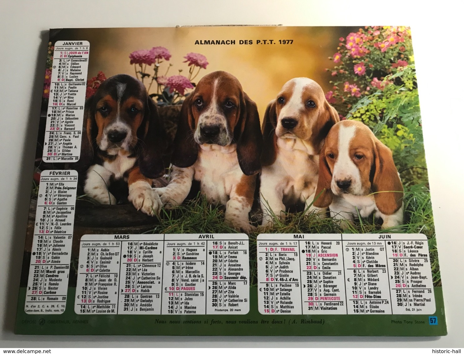 Calendrier - Almanach Du Facteur AIN - 1977 - Chat / Chiens - Groot Formaat: 2001-...