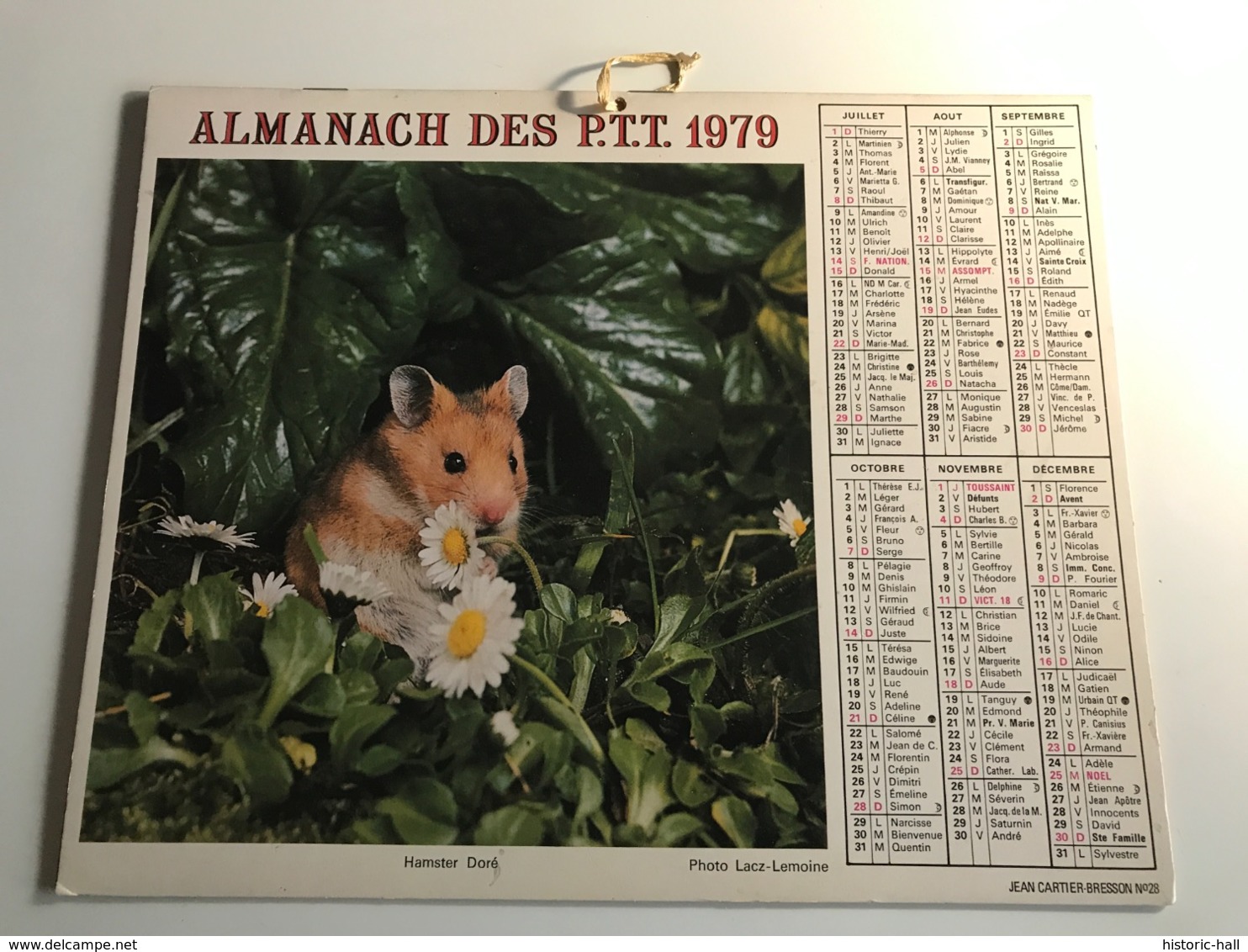 Calendrier - Almanach Des P.T.T  RHONE - 1979 - Passerine / Hamster Doré - Groot Formaat: 2001-...