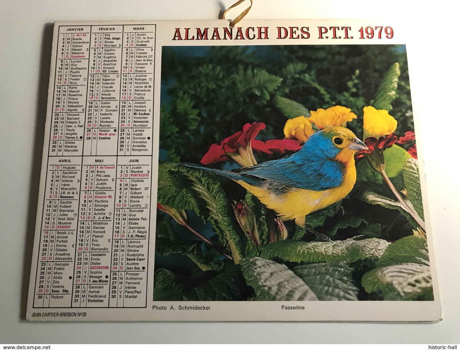 Calendrier - Almanach Des P.T.T  RHONE - 1979 - Passerine / Hamster Doré - Groot Formaat: 2001-...