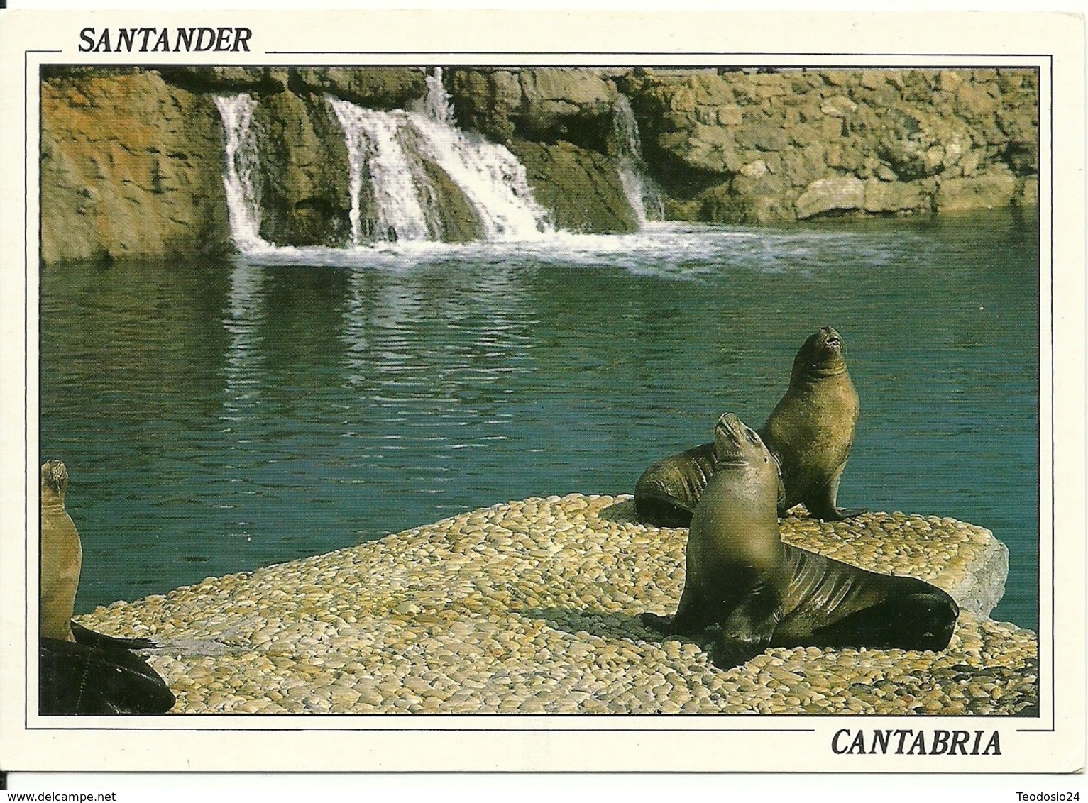 Santander Mini Zoo Parque De La Magdalena Leones Marinos . - Sonstige & Ohne Zuordnung