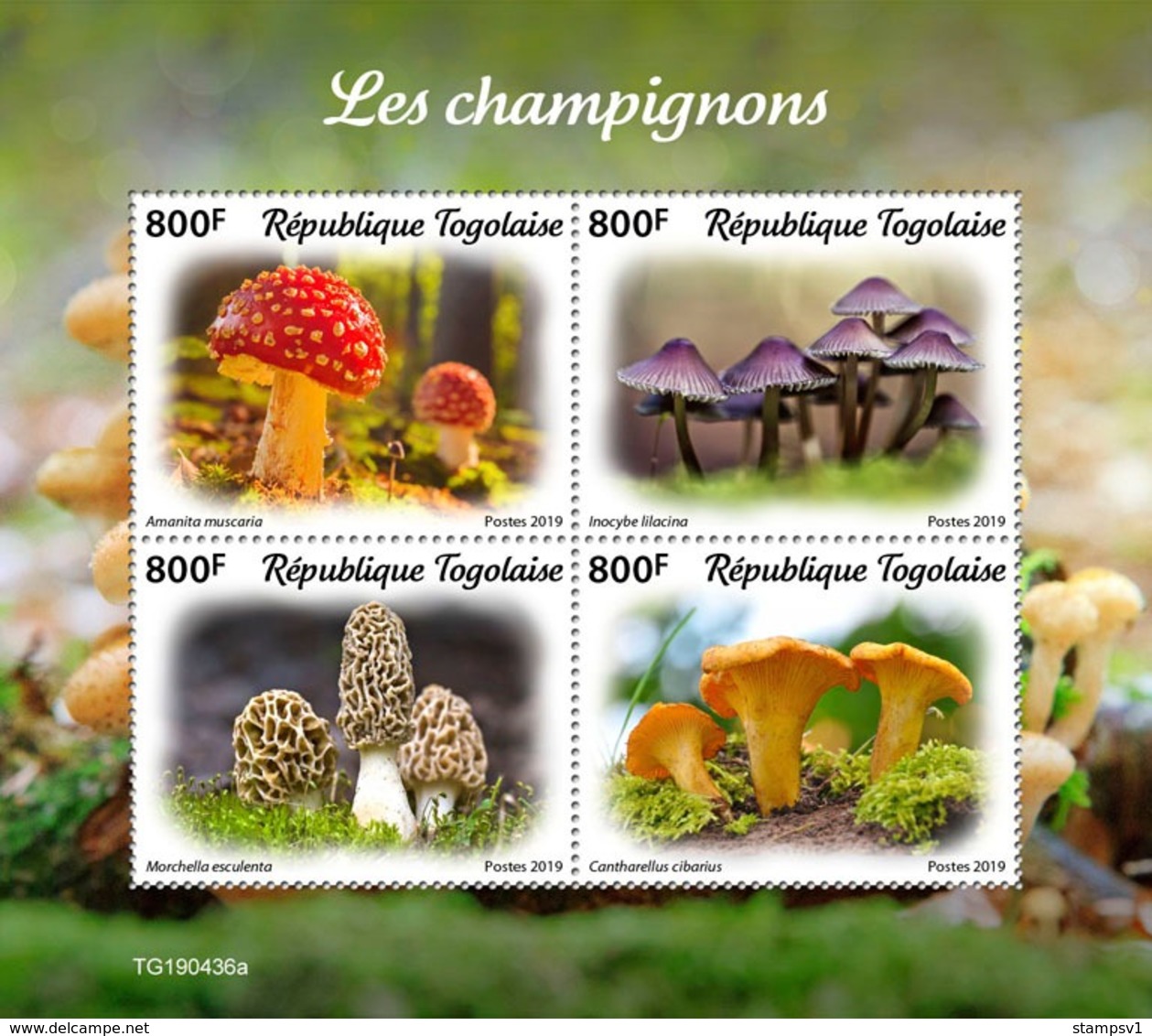 Togo. 2019 Mushrooms. (0436a)  OFFICIAL ISSUE - Funghi