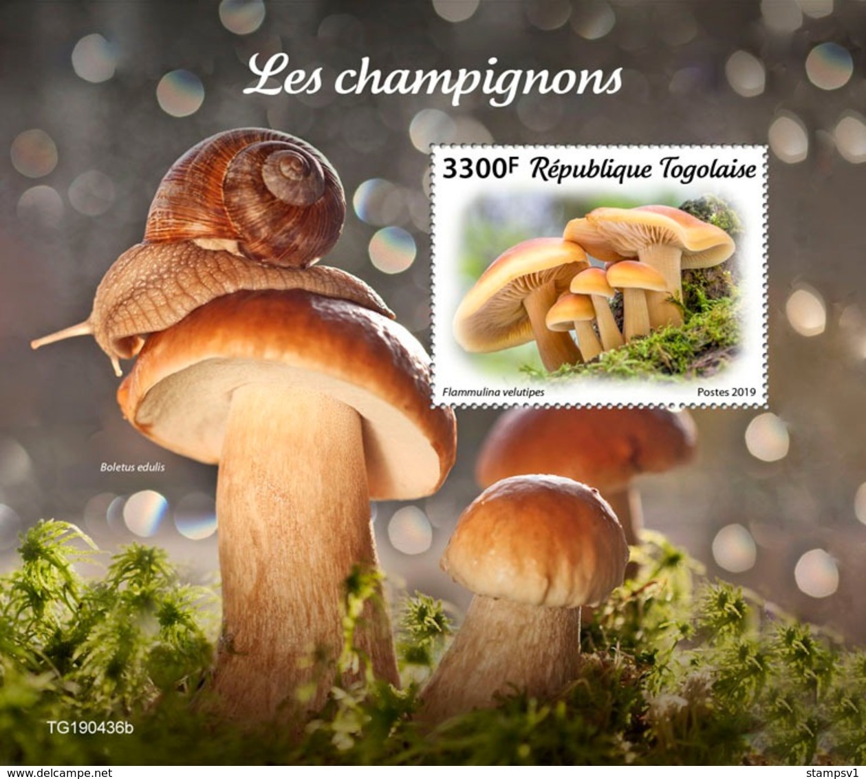 Togo. 2019 Mushrooms. (0436b)  OFFICIAL ISSUE - Funghi