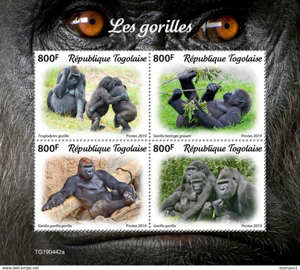 Togo. 2019 Gorillas. (0442a)  OFFICIAL ISSUE - Gorilas