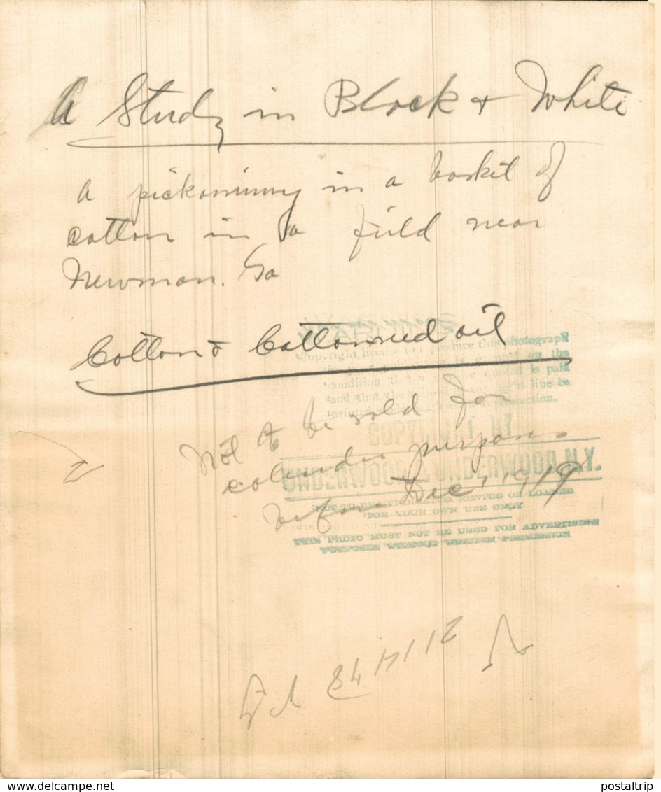 LA STUDY IN BLACK AND WHITE COTTON BASKET FIELD NEWMAN   +- 25*20CM Fonds Victor FORBIN (1864-1947) - Sin Clasificación