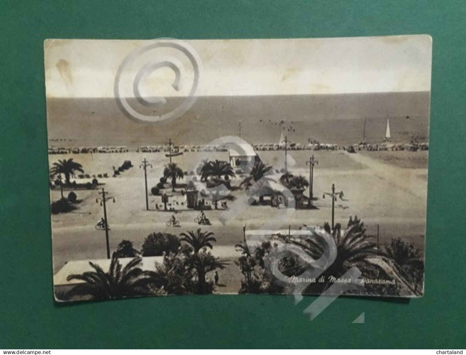 Cartolina Marina Di Massa - Panorama - 1919 - Massa