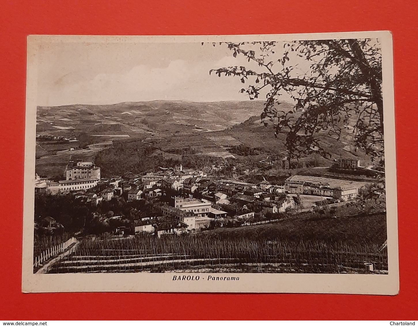 Cartolina Barolo - Panorama - 1958 - Cuneo