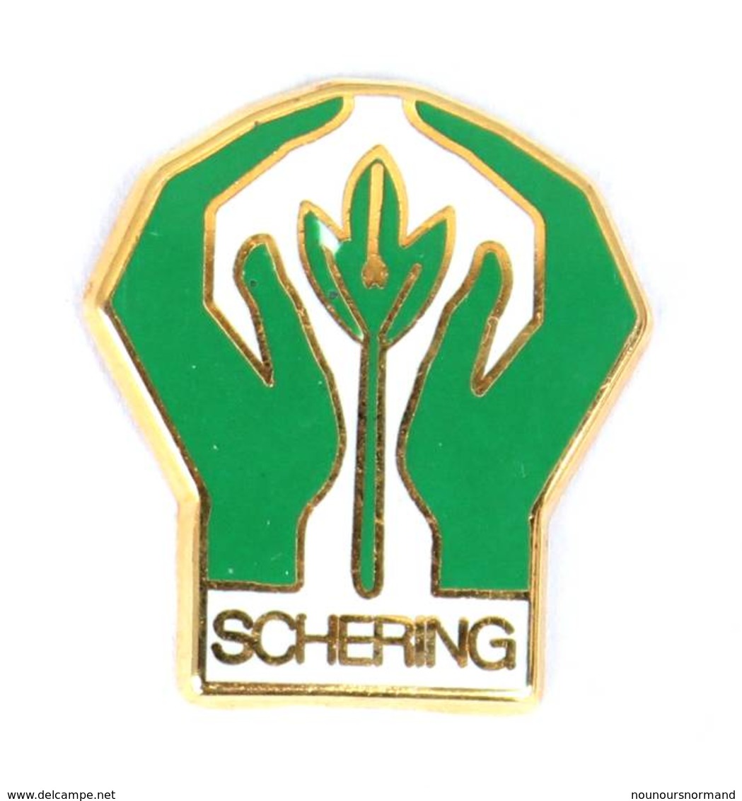 Pin's SCHERING - Le Logo - Mains Protégeant Une Plante - Industrie Pharmaceutique - Zamac - I816 - Geneeskunde