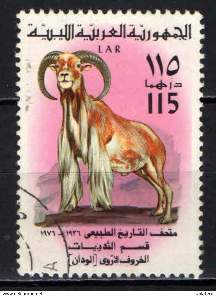 LIBIA - 1976 - Wild Mountain Sheep - USATO - Libia