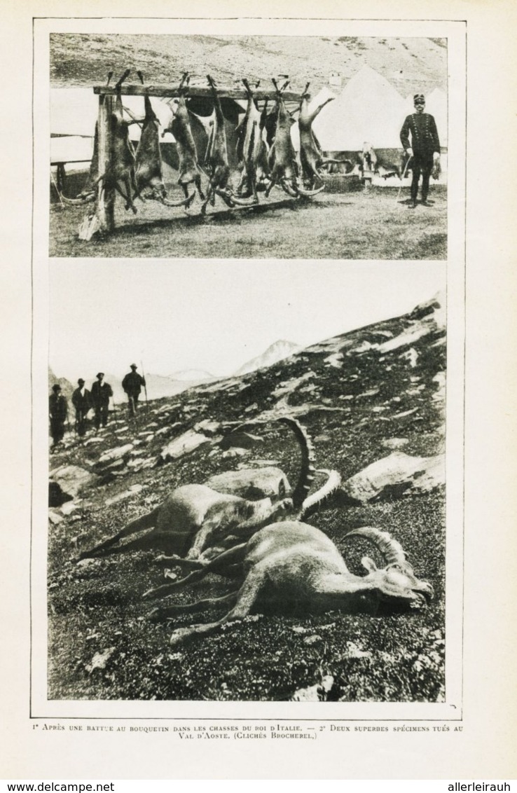 Joies De La Chasse Et De L`Alpinisme /  Article,  Pris D`un Magazine / 1910/1911 - Sonstige & Ohne Zuordnung