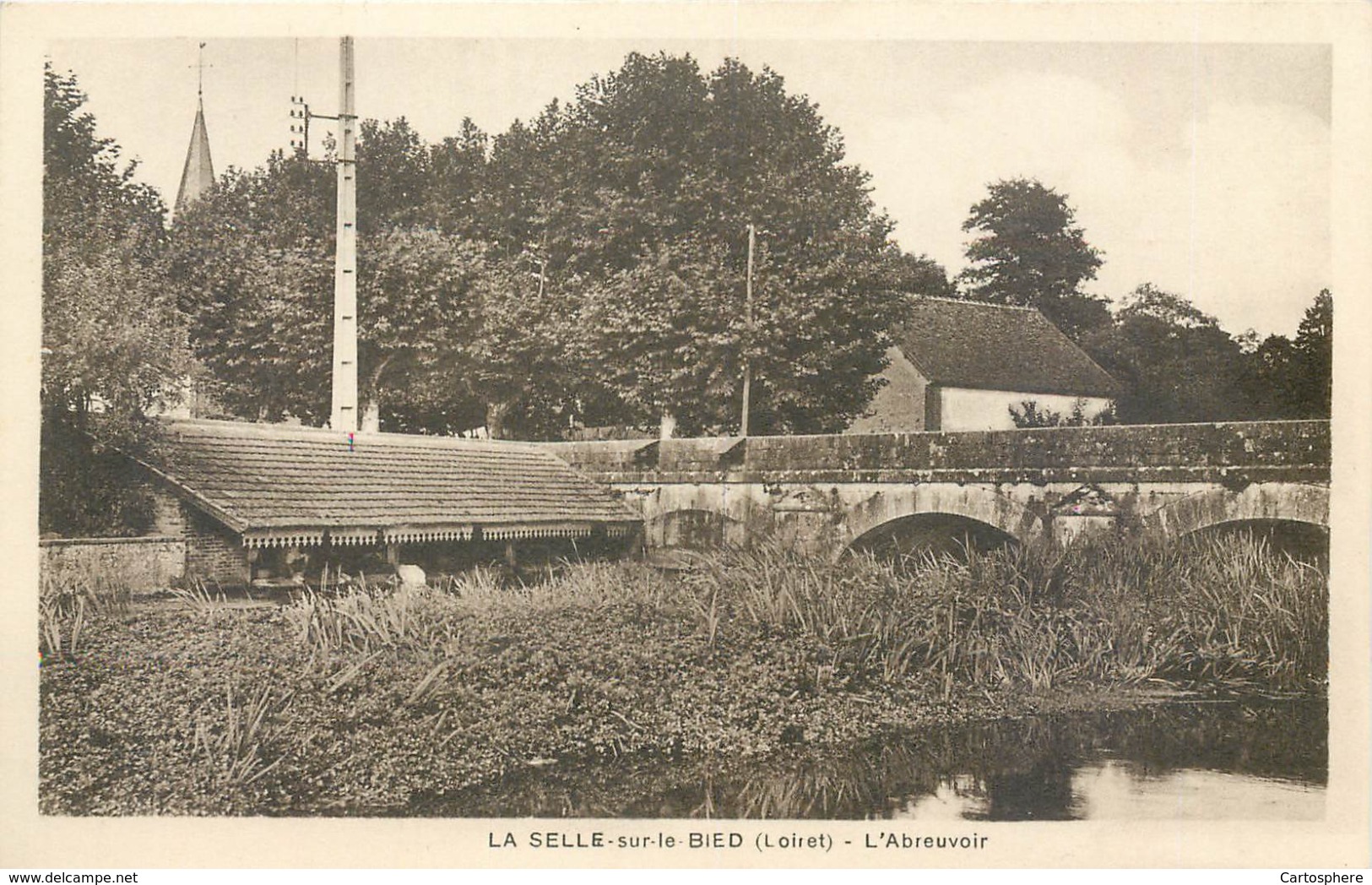 CPA 45 Loiret La Selle Sur Le Bied L'Abreuvoir Lavoir - Autres & Non Classés