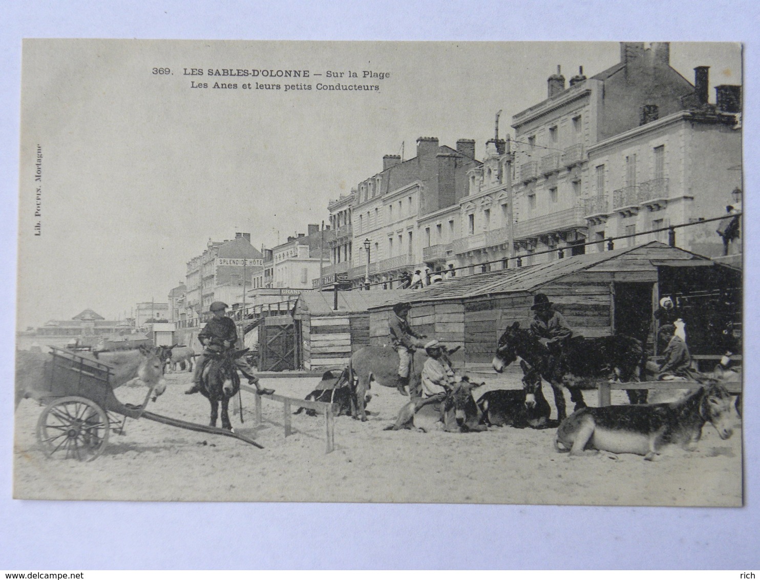 CPA (85) Vendée - LES SABLES D'OLONNE - Sur La Plage - Les Anes Et Leurs Petits Conducteurs - Sables D'Olonne