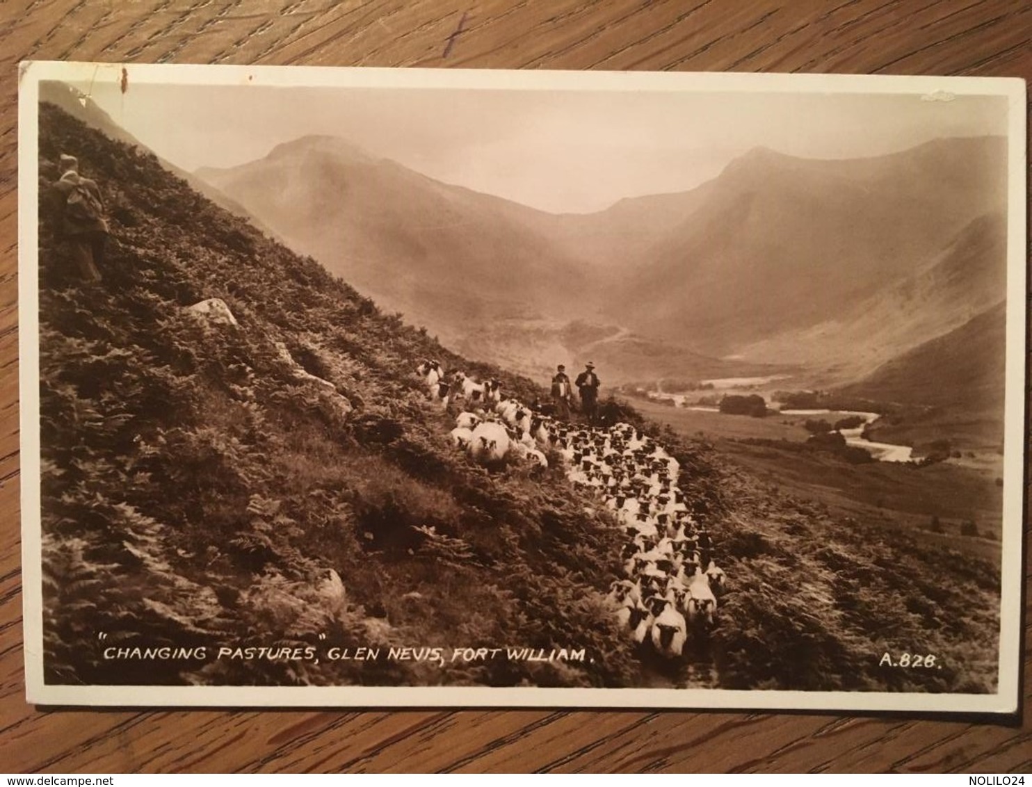 CPA CPSM, Changing Pastures, Glen Nevis, Fort William, Non écrite - Inverness-shire