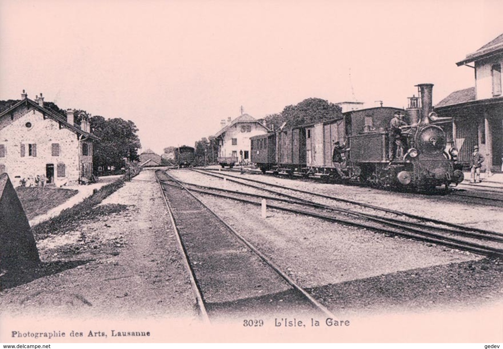 Suisse, Chemin De Fer à Vapeur Bière Apples Morges, Trains En Gare De L'Isle Photo Retirage BVA, BAM 28.S - Apples