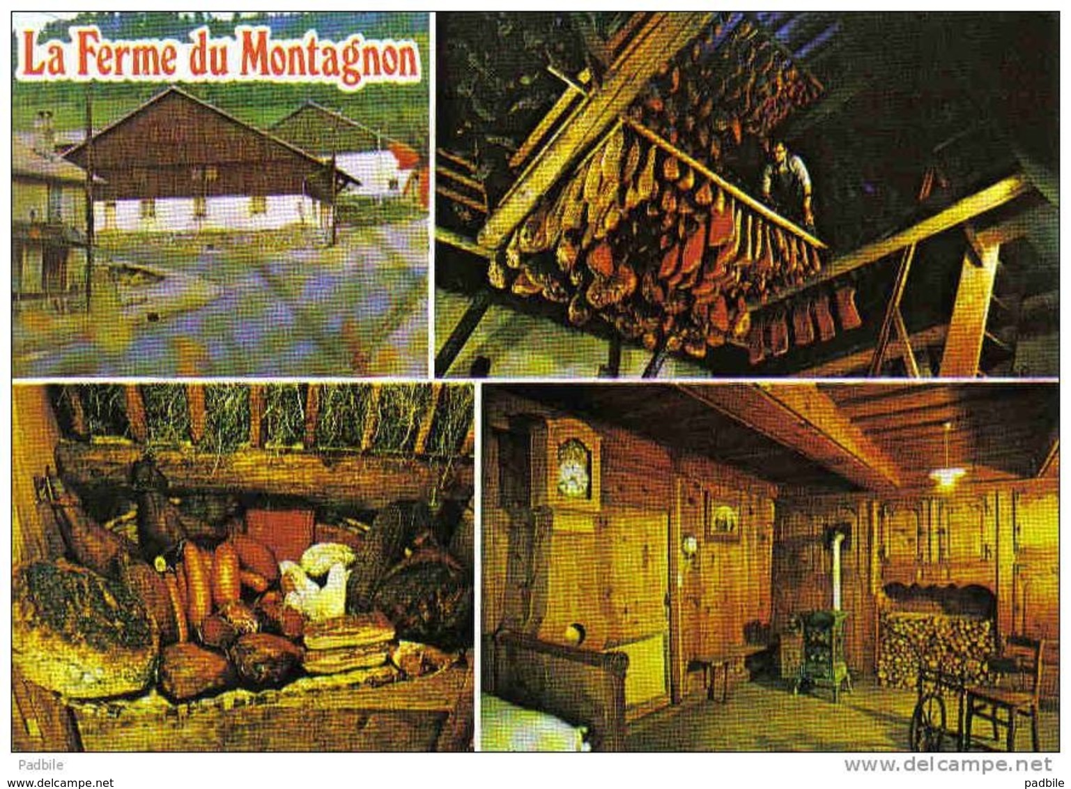 Carte Postale  25. Orchamps-Vennes  La Ferme Du Montagnon   Trés Beau Plan - Otros & Sin Clasificación